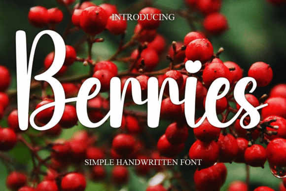 Berries Font: A Handwritten Typeface for Campaigns