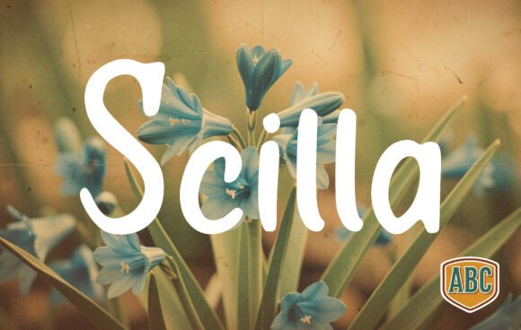 Scilla: A Hand-Drawn Font for Makers
